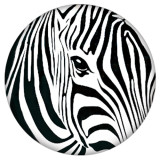 20MM zebra Painted enamel metal C5406 print snaps jewelry