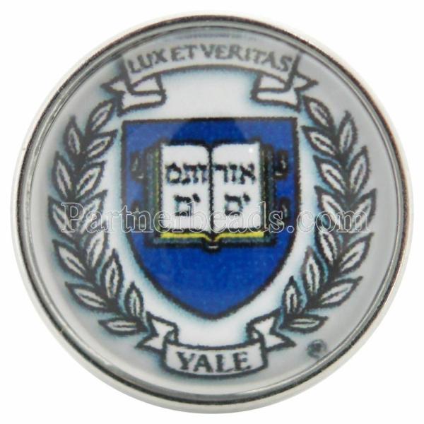 20MM snaps glass of University emblem logo C0792 University emblem logo