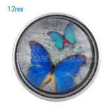12MM snaps glass of Butterfly KT0050 interchangable snaps jewelry