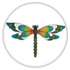 20MM Painted Dragonfly enamel metal C5708 print snaps jewelry