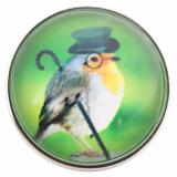 20MM snap glass bird C0168 interchangable snaps jewelry