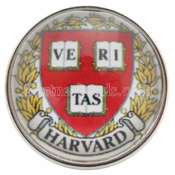 20MM snaps glass of University  C0783 University emblem logo