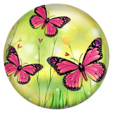 20MM butterfly Painted enamel metal C5548 print snaps jewelry