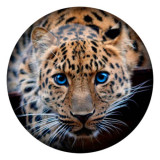 20MM leopard Painted enamel metal C5273 print snaps jewelry