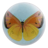 20MM butterfly Painted enamel metal snaps C5056 print snaps jewelry