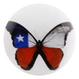 20MM butterfly Painted enamel metal snaps button print C5021 jewelry