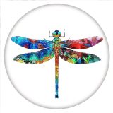 20MM Painted Dragonfly enamel metal C5706 print snaps jewelry