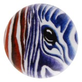 20MM horse Painted enamel metal snaps button print C5022 jewelry