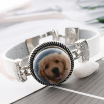 20MM dog Painted enamel metal C5451 print snaps jewelry