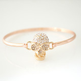 Bangle for changeable Charms 001