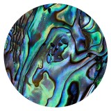 20MM  design Painted enamel metal C5895 print  charms Green Opal