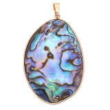 Abalone Shells  Pendant of necklace  fashion  jewelry style