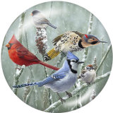 20MM bird  Print glass snaps buttons