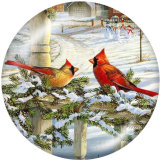 20MM bird  Print glass snaps buttons