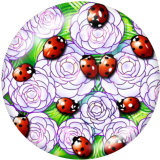 20MM Ladybug Print glass snaps buttons