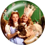 20MM The wizard of oz Print glass snaps buttons