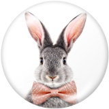 20MM  rabbit Print glass snaps buttons