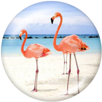 20MM Flamingo Print glass snaps buttons Beach Ocean LOVE