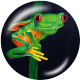 20MM frog Print glass snaps buttons