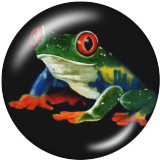 20MM frog Print glass snaps buttons