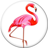 20MM Flamingo LOVE Print glass snaps buttons  Beach Ocean