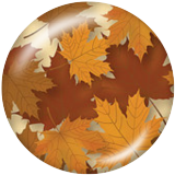 20MM maple leaves Print glass snaps buttons