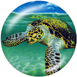 20MM Beach Ocean   sea turtle Print glass snaps buttons