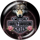 20MM Harley Motors car Print glass snaps buttons