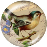 20MM bird Print glass snaps buttons