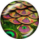 20MM Peacock feather Print glass snaps buttons
