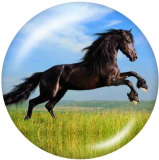 20MM horse Print glass snaps buttons
