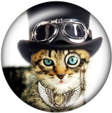 20MM cat Print glass snaps buttons