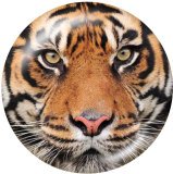 20MM  tiger Print glass snaps buttons