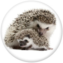 20MM hedgehog Print glass snaps buttons