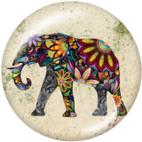 20MM elephant Print glass snaps buttons