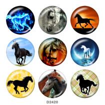 20MM horse  Print glass snaps buttons