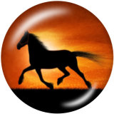 20MM horse  Print glass snaps buttons