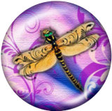 20MM dragonfly  Print glass snaps buttons