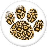 20MM Bear Claw glass snaps buttons
