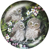 20MM owl Print glass snaps buttons