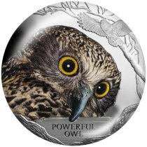 20MM owl Print glass snaps buttons