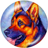 20MM dog Print glass snaps buttons