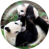 20MM panda  Print glass snaps buttons
