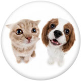 20MM Cats and dogs   Print glass snaps buttons