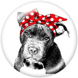 20MM  Dog  Print glass snaps buttons