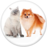 20MM Cats and dogs   Print glass snaps buttons