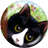 20MM cat Print glass snaps buttons