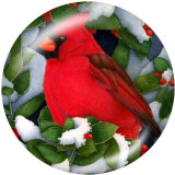 20MM  bird  Print glass snaps buttons