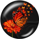 20MM Flower  Butterfly  Print glass snaps buttons