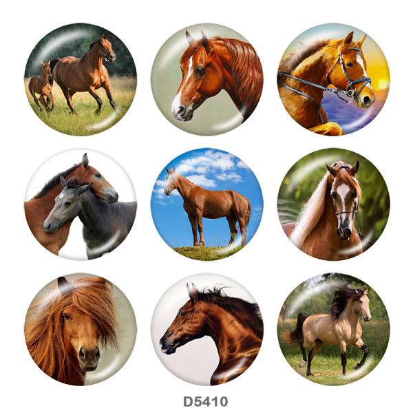 20MM horse   Print glass snaps buttons